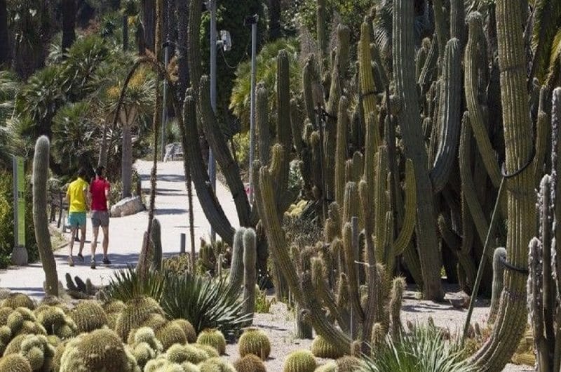 management conference