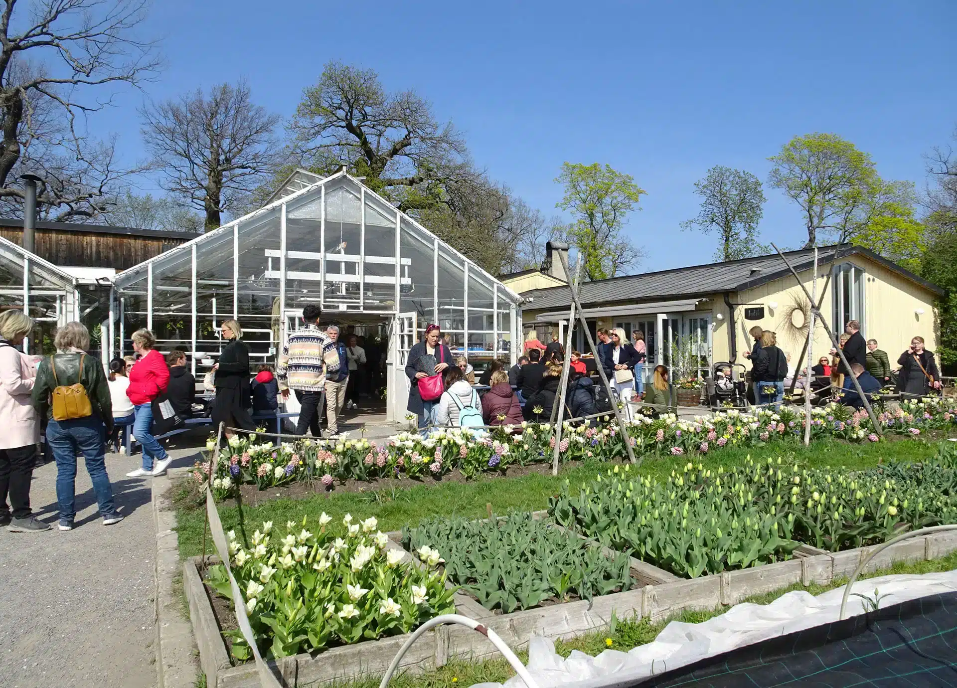 management conference